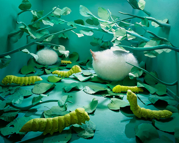 Dreamlike miniature scenes by JeeYoung Lee